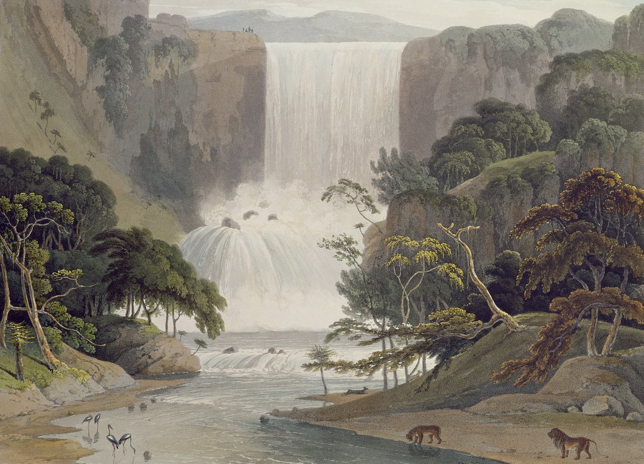 Kaszkád a Sneuwbergen, 25-ös tábla az „Afrikai tájak és állatok”-ból, a művész által metszett, 1805 (színes akvatinta) alkotó: Samuel Daniell