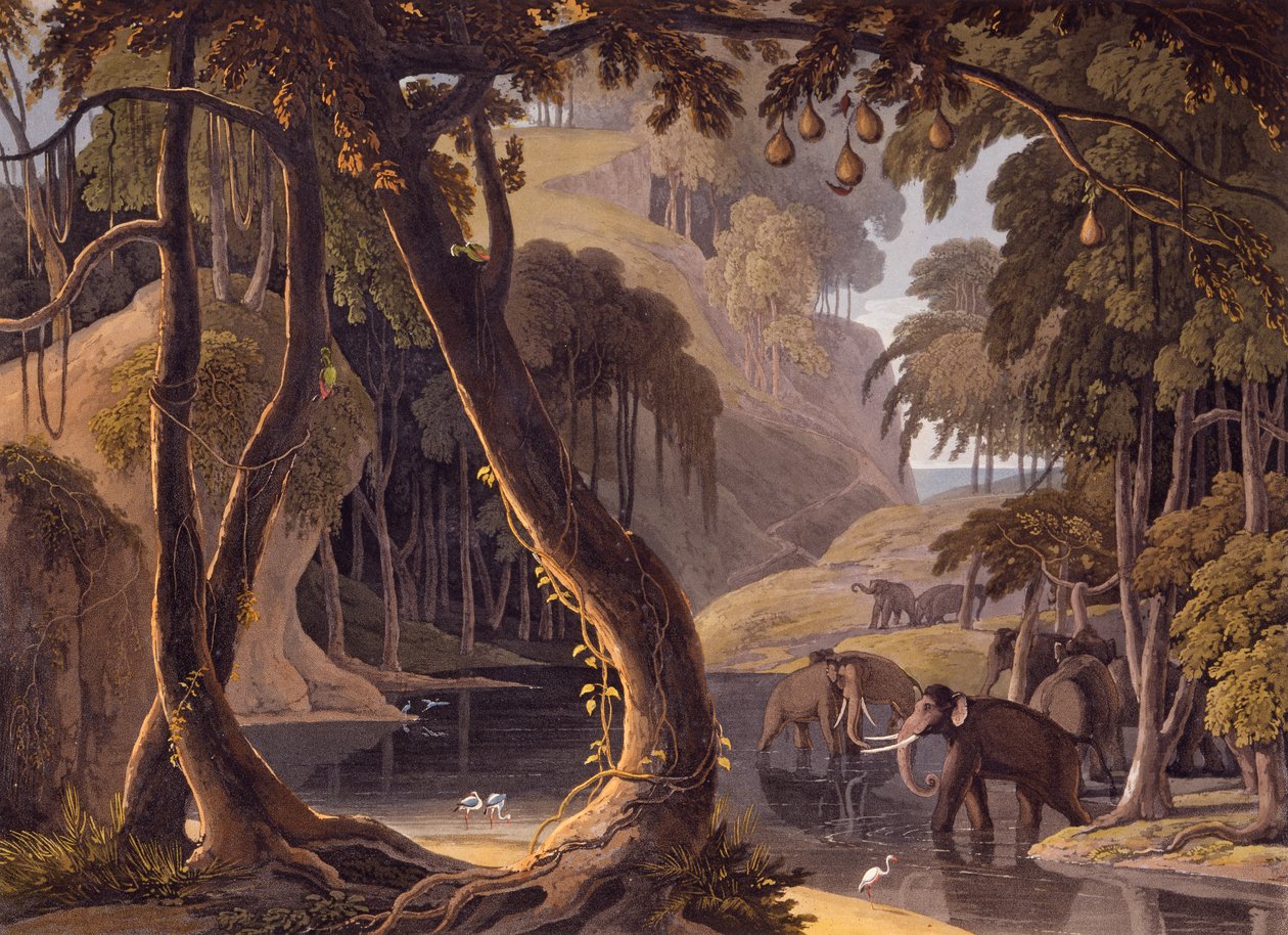 Jelenet Sitsikammában - elefántok és kócsagok egy medencénél, az "Afrikai tájak és állatok" című képből, 1804-05 alkotó: Samuel Daniell