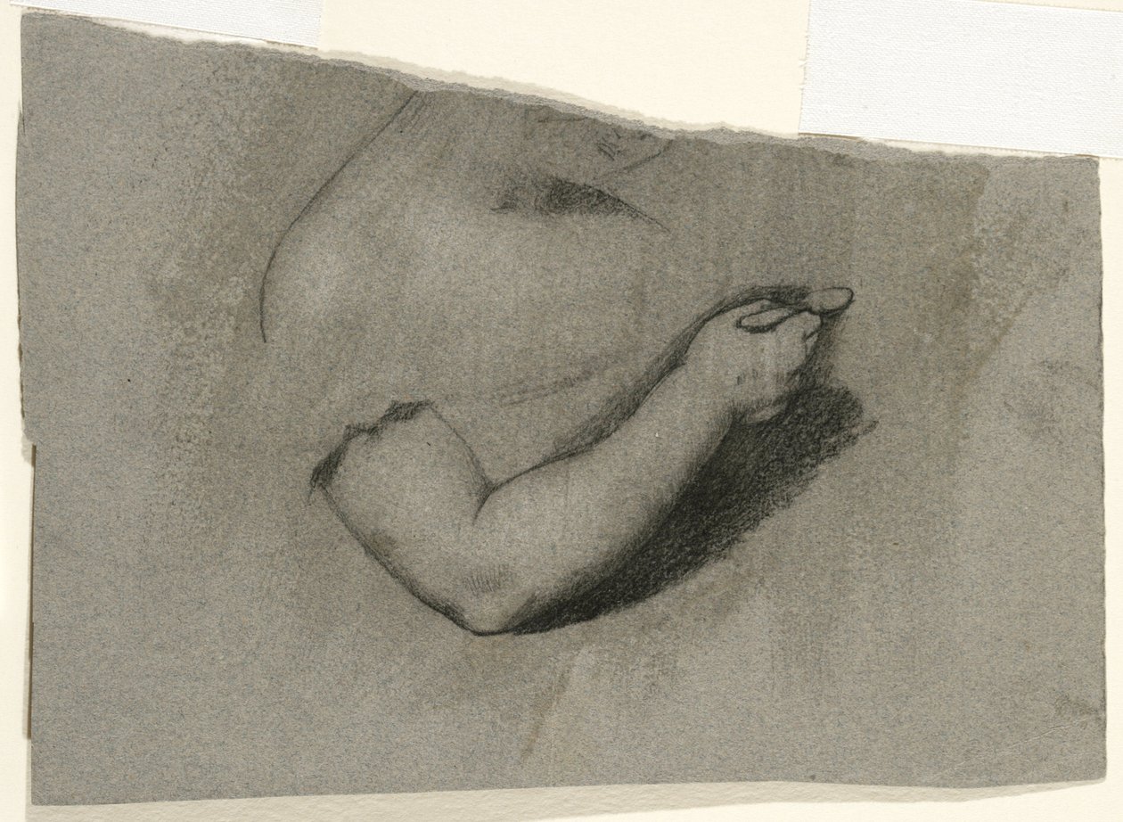 Tanulmány Mary Hone portréjához, 1824 (szén és fehér kréta szürkésbarna szőtt papíron) alkotó: Samuel Finley Breese Morse