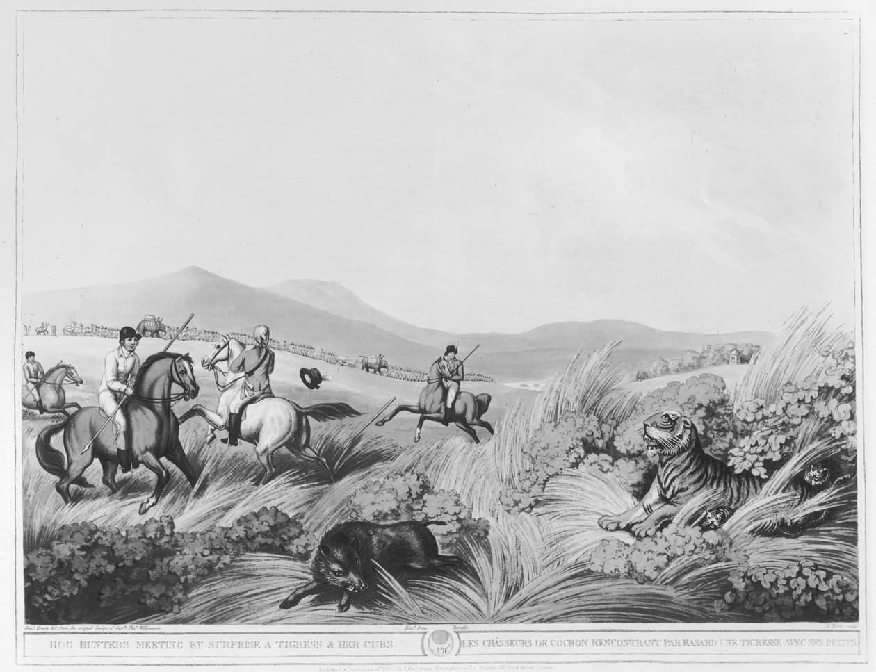 Hog Hunters Meeting, Surprise, Tigris és kölykei, metszett H.Merke (fl.1800-20) Thomas Williamson kapitány eredeti terve alapján, pub. írta: Edward Orme (1774-1820 körül) (bundw pho alkotó: Samuel Howett