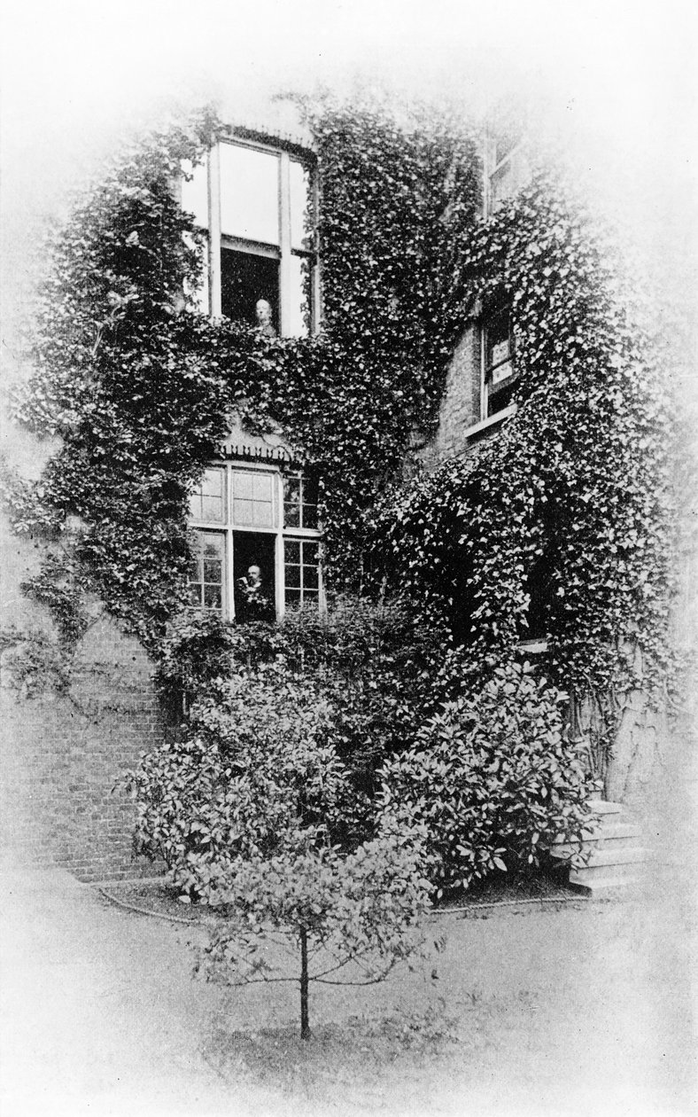 Summer at The Pines, Swinburnes otthon, Putney, 1900-2009 körül (bw photo) alkotó: Samuel James Poole