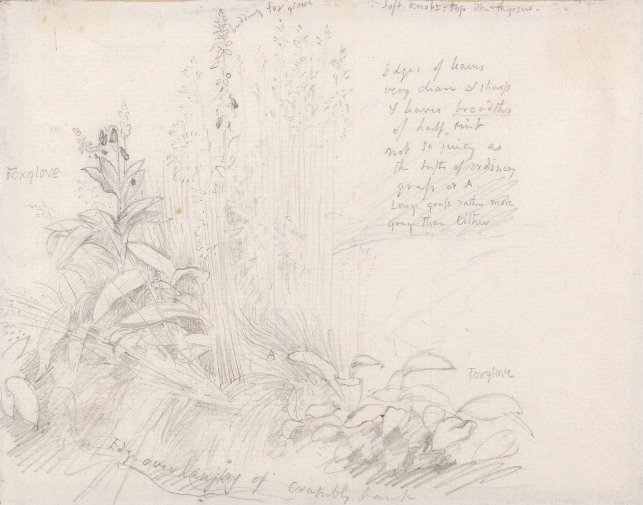 Rókakesztyű alkotó: Samuel Palmer