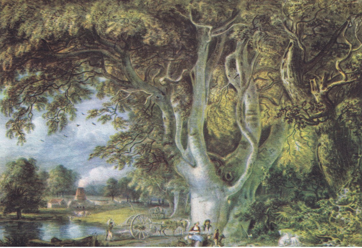 Oak Trees, Shoreham, Kent, Nature in Britain, Collins, 1946 alkotó: Samuel Palmer