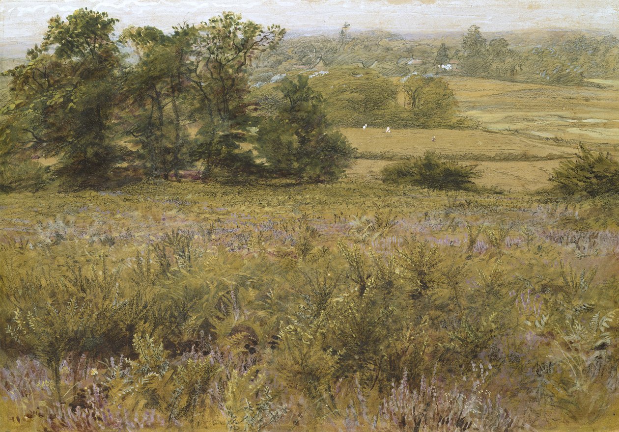 A Furze-mező, 19. század (akvarell) alkotó: Samuel Palmer