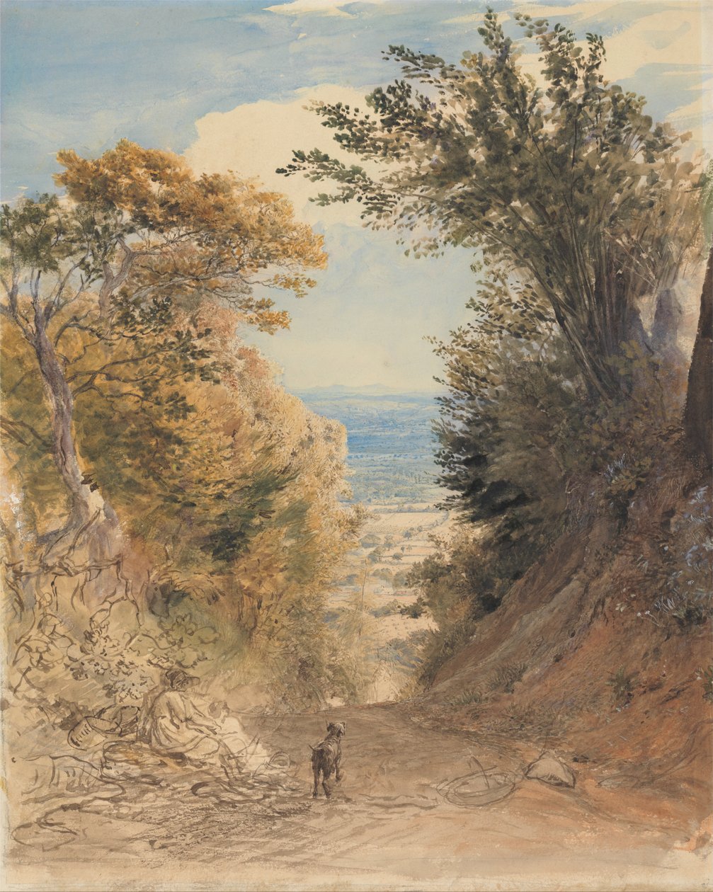 Kilátás a Rooks Hill -ről, Kent alkotó: Samuel Palmer