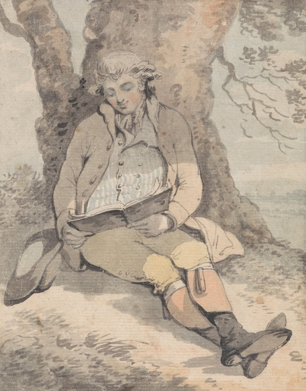 P. Wilkinson Esq. Ülök egy tölgy árnyékában, és tanulnak fütyülni alkotó: Samuel Alken