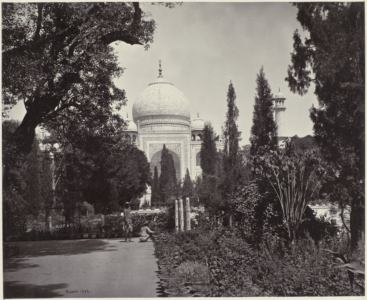 Kilátás a Taj Mahalra és kertjére A Taj, a kertből (eredeti cím) A Taj (cím a tárgyon) alkotó: Samuel Bourne (signed by artist)