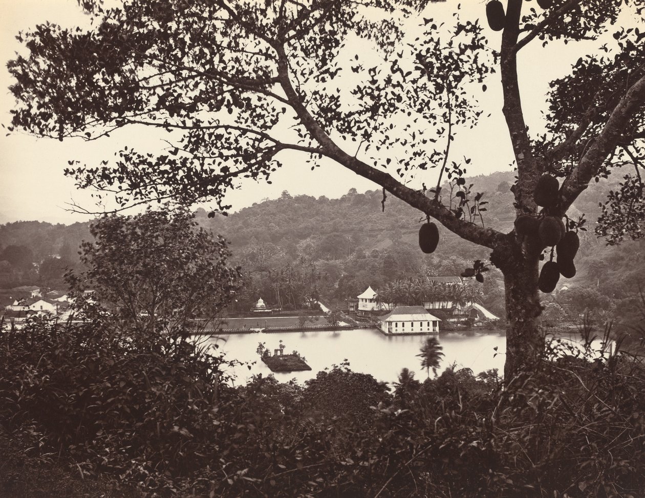 Egy kukucskálás az Upper Lake Roadról, amely a templomot és a szigetet mutatja a parkkal -- gyümölcsfa az előtérben alkotó: Samuel Bourne
