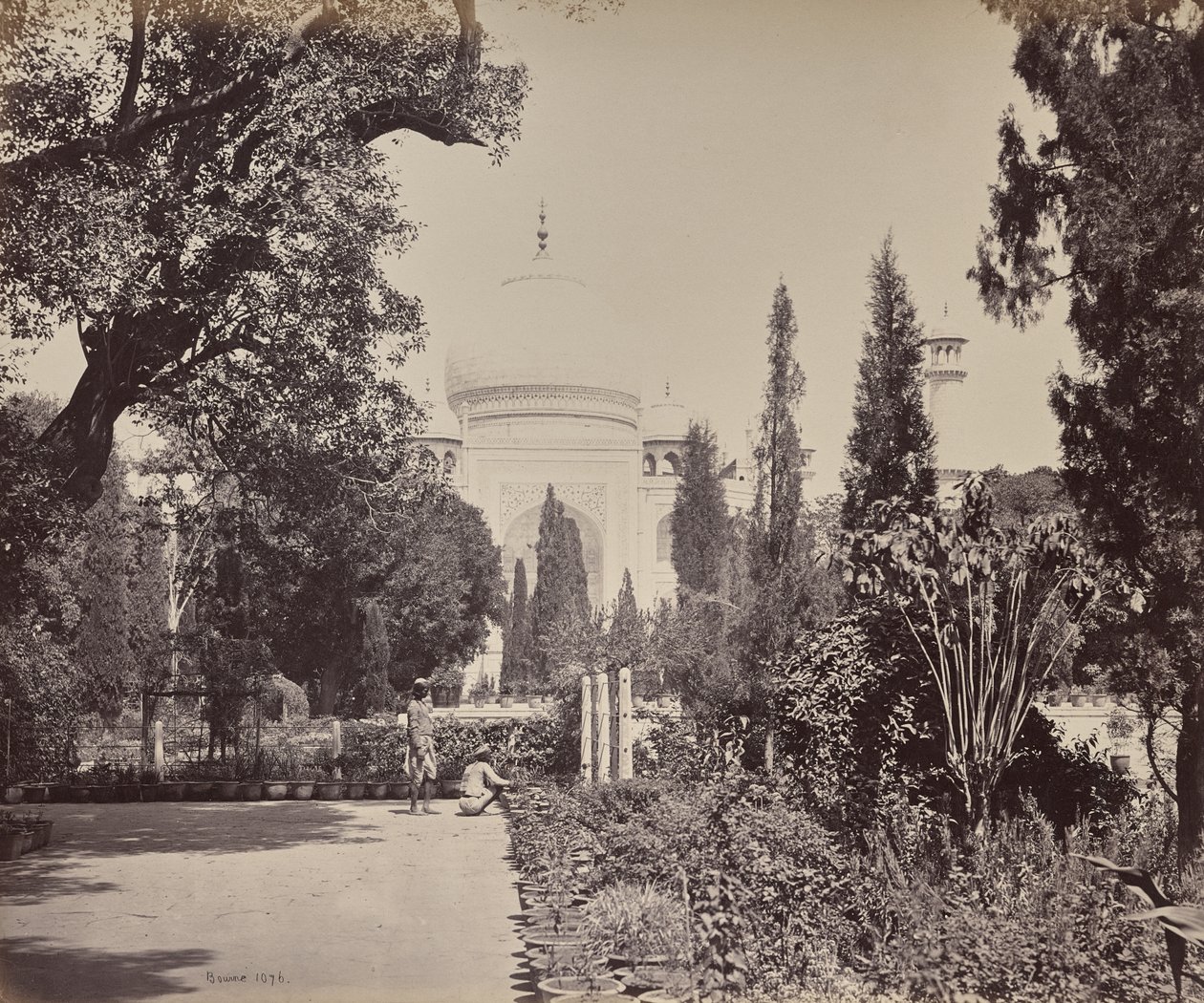 Agra. Kilátás a Tádzsra a kertből alkotó: Samuel Bourne
