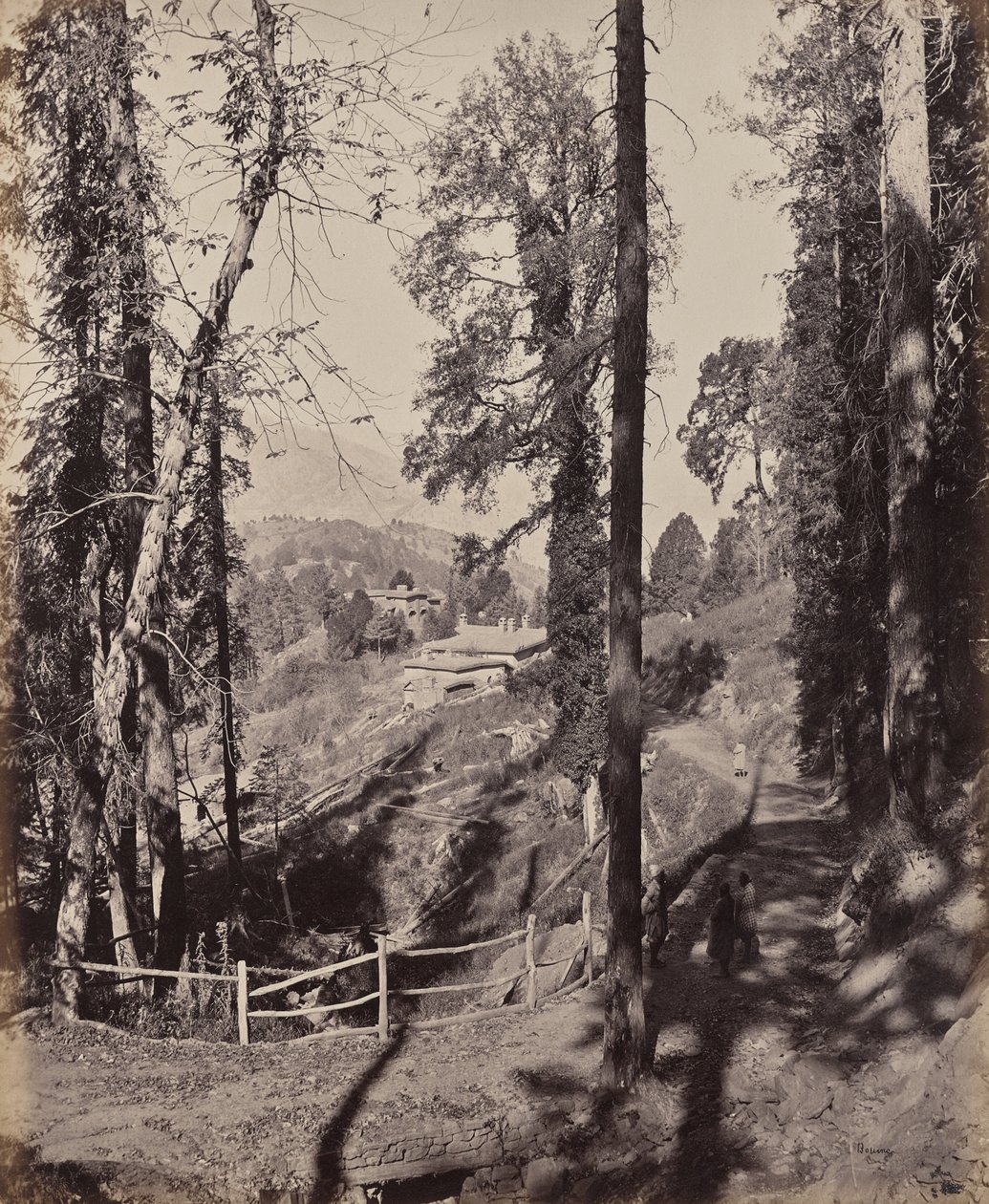 Murree. Hegyi állomás a Himalájában, kilátás az erdőn át alkotó: Samuel Bourne