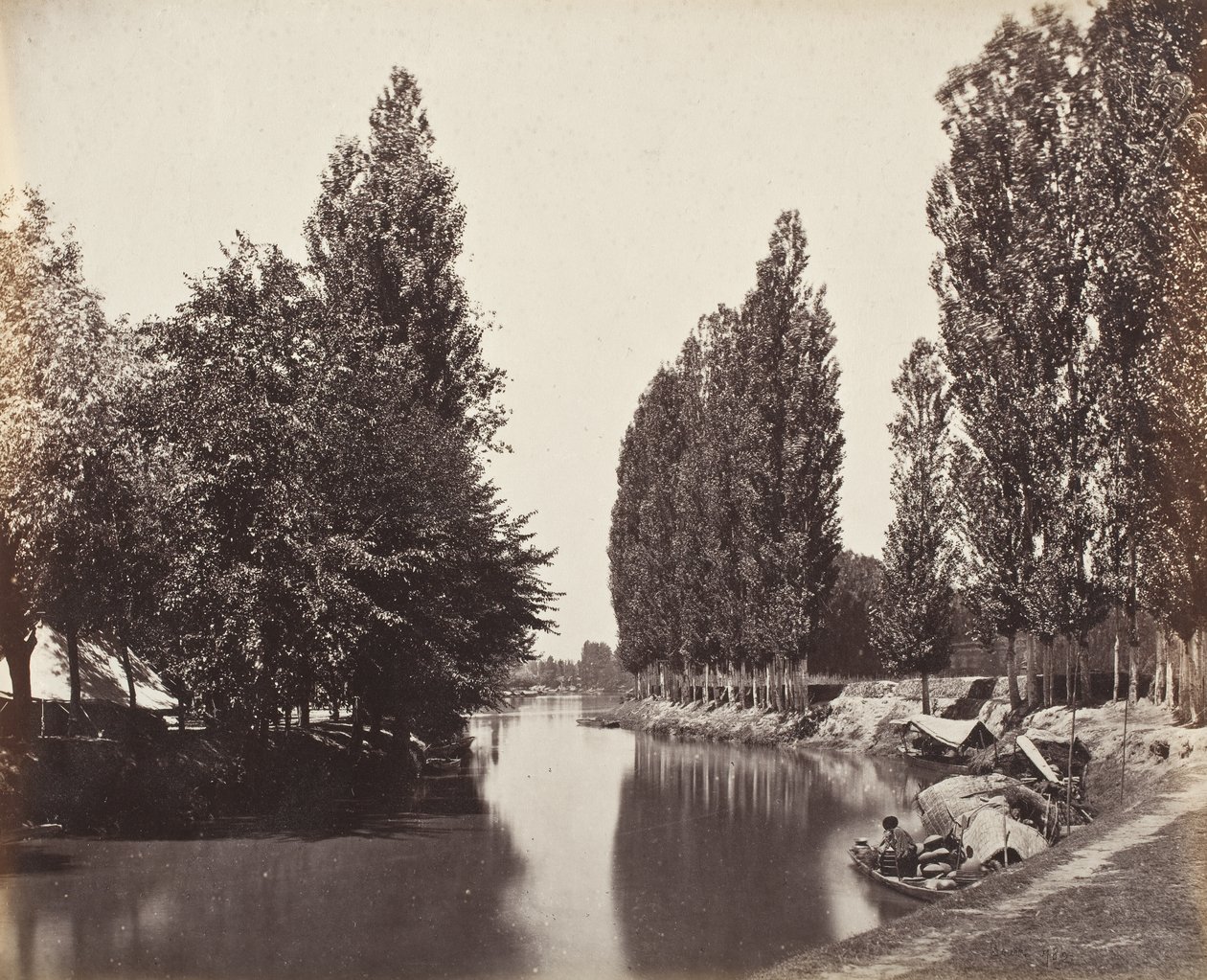 Folyó fákkal (India) alkotó: Samuel Bourne