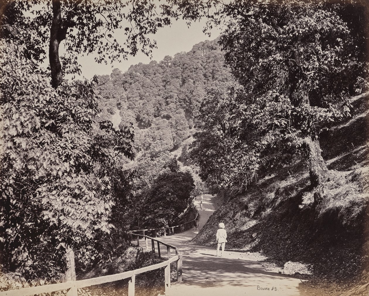 Simla. A Mall a Rabq Lodge közelében alkotó: Samuel Bourne