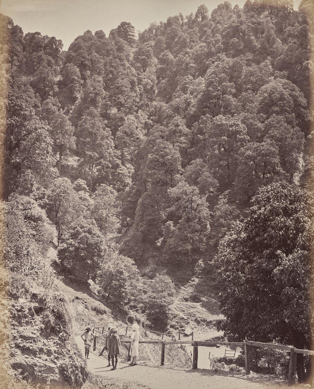 Simla. Kilátás északra a Jakko-hegyre alkotó: Samuel Bourne