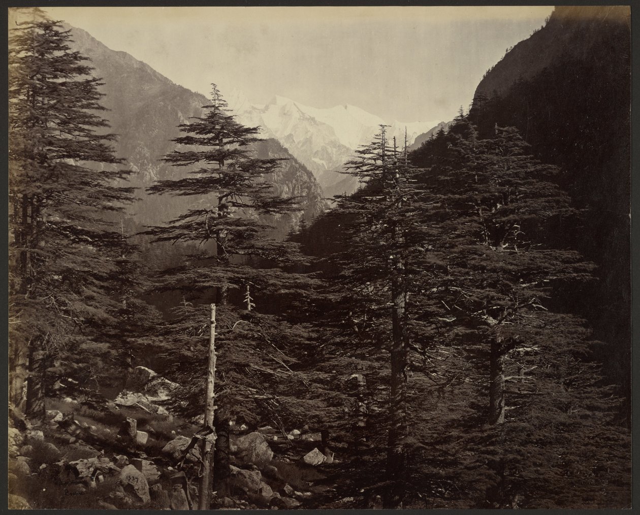 Havas csúcsok Gangotri közelében, Bhairamghatiból alkotó: Samuel Bourne