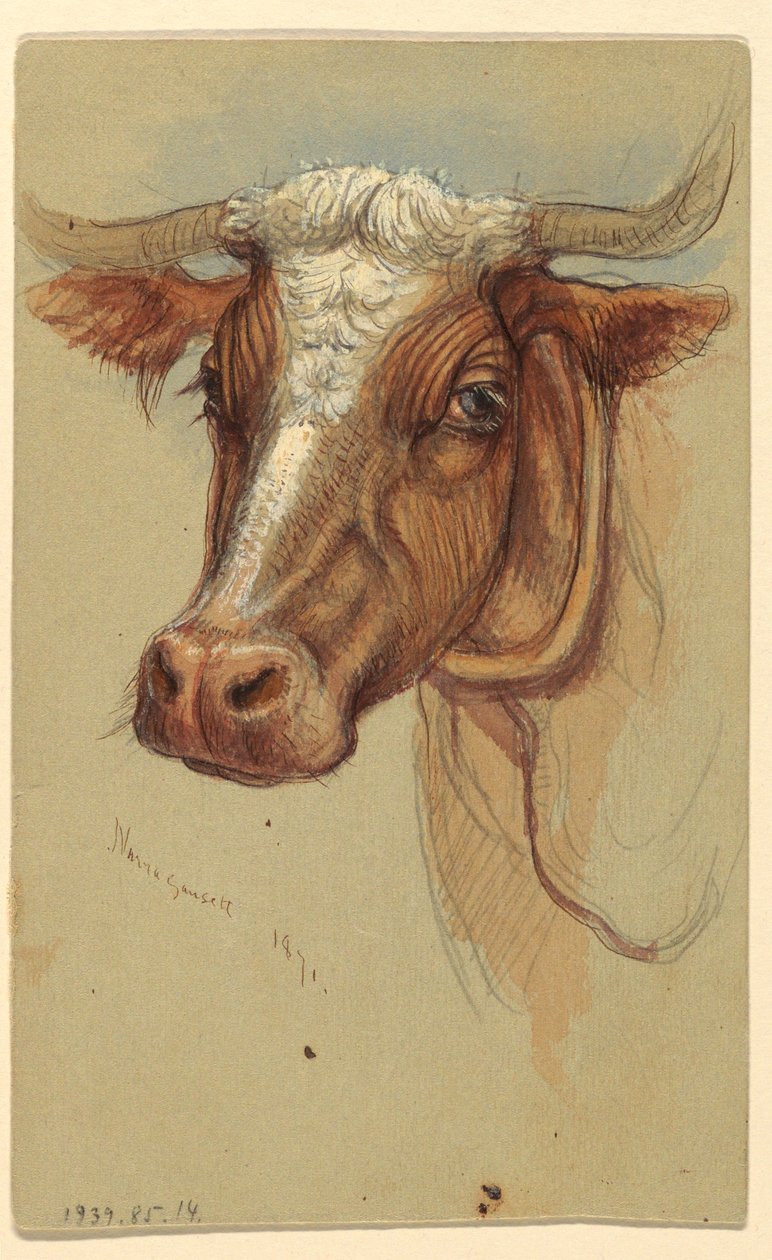 Rajz, Vázlatok Narragansettből, Rhode Island, 1871 alkotó: Samuel Colman