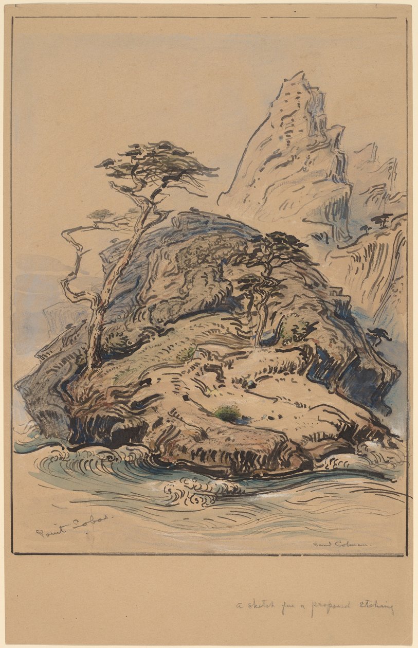 Point Lobos, Kalifornia alkotó: Samuel Colman