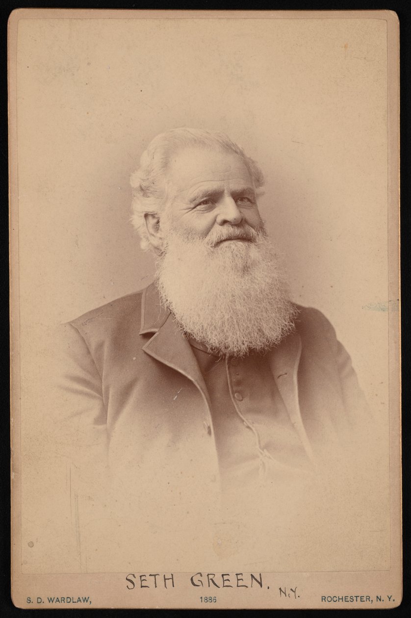 Seth Green portréja 1817-1888, 1886. alkotó: Samuel D Wardlaw