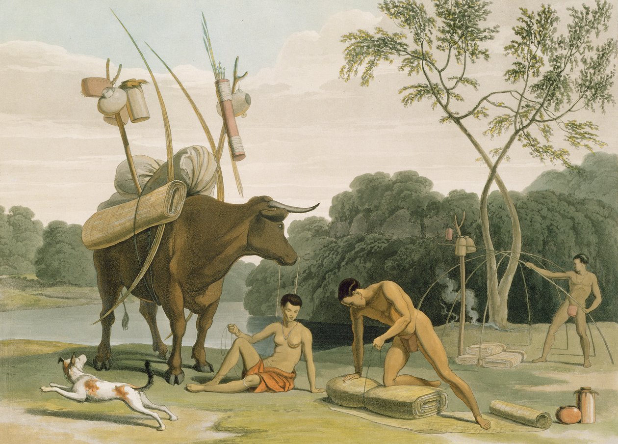 Korah Hottentots Preparing to Remove, 20. tábla az „Afrikai tájak és állatok” című művéből, a művész által metszett, 1805 (akvatinta) alkotó: Samuel Daniell