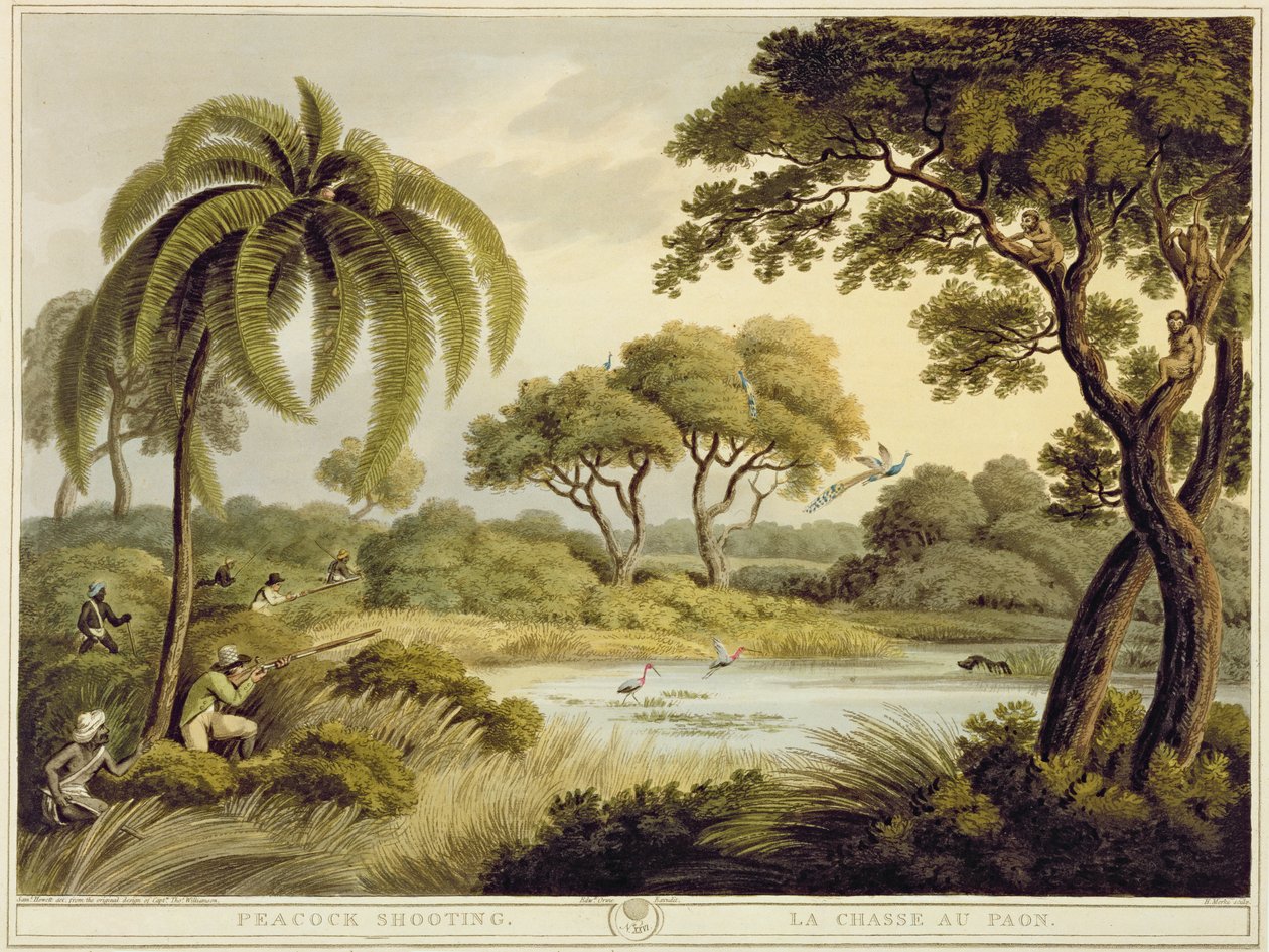 Peacock Shooting, az Oriental Field Sports, pub. Edward Orme, 1807 (nyomtatott) alkotó: Samuel Howett