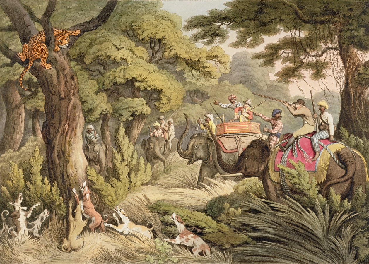 Shooting A Leopard, az Oriental Field Sports, pub. Edward Orme, 1807 (nyomtatott) alkotó: Samuel Howett