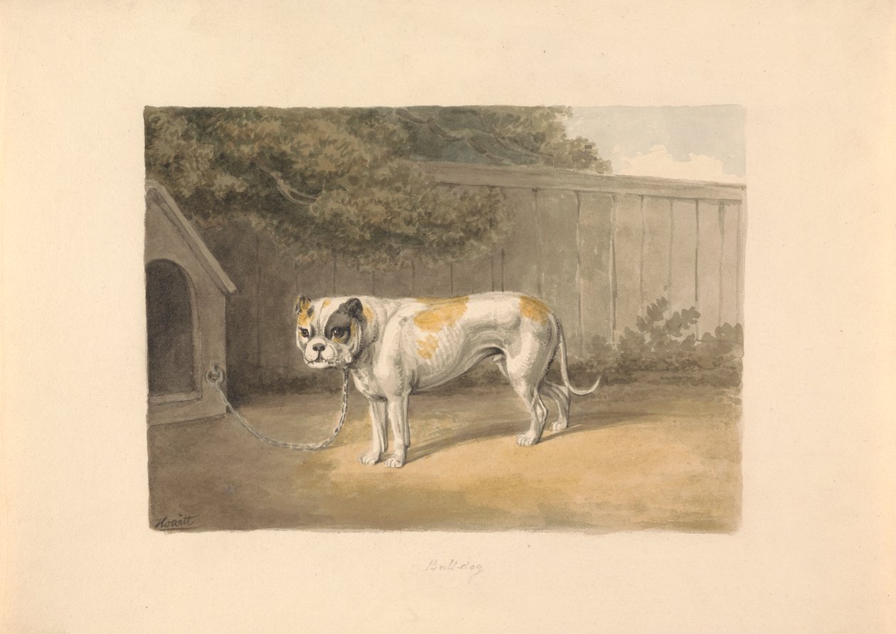 Egy Bulldog alkotó: Samuel Howitt