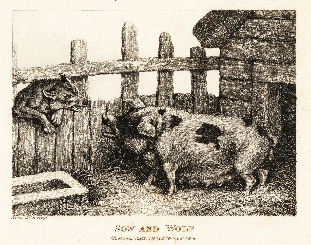 Egy nagy koca egy disznóólban, aki egy farkasra vicsorít. 1811 (rézkarc) alkotó: Samuel Howitt