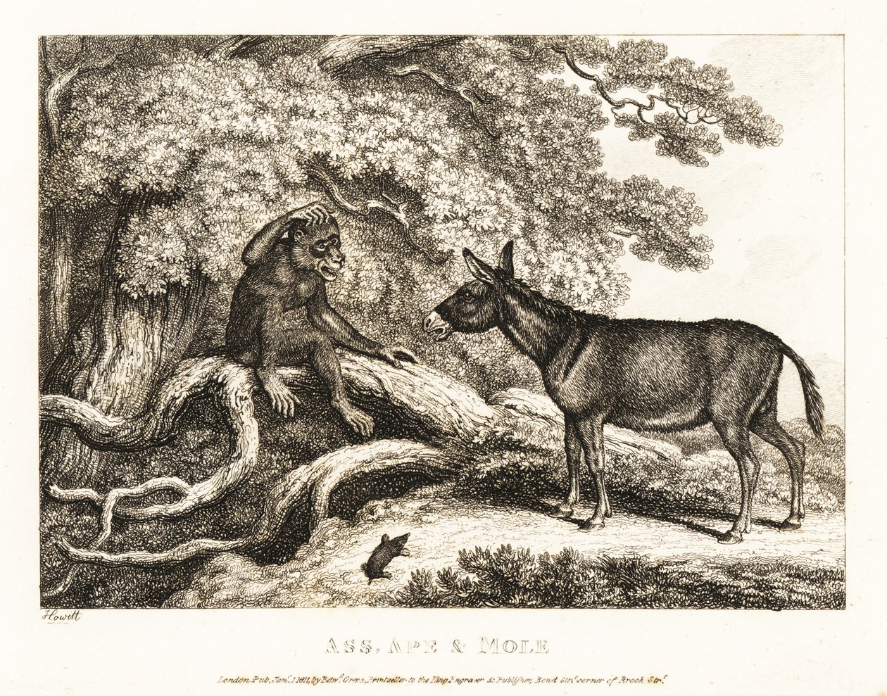 Egy majom és egy szamár addig nyög, amíg egy vakond el nem hallgattatja őket. 1811 (rézkarc) alkotó: Samuel Howitt