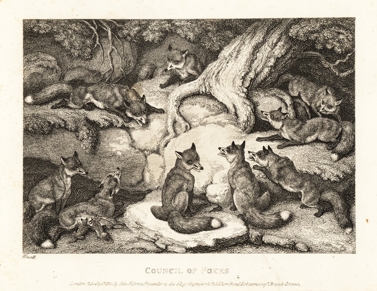 Egy rókafalka találkozik az erdőben. 1811 (rézkarc) alkotó: Samuel Howitt