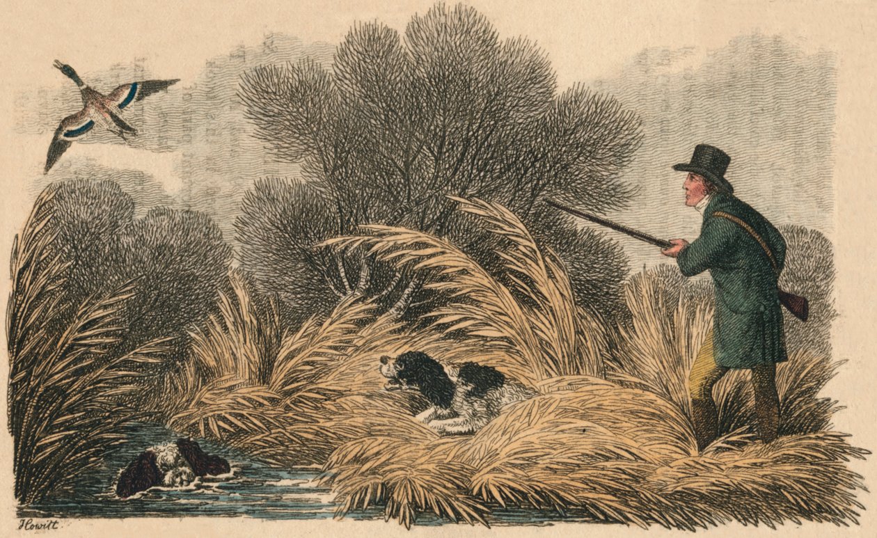 Kacsalövészet, 1810. alkotó: Samuel Howitt