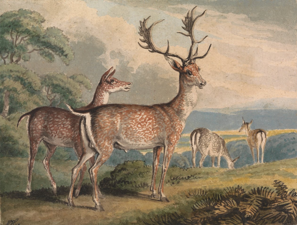 Stag, Doe és Fawns alkotó: Samuel Howitt