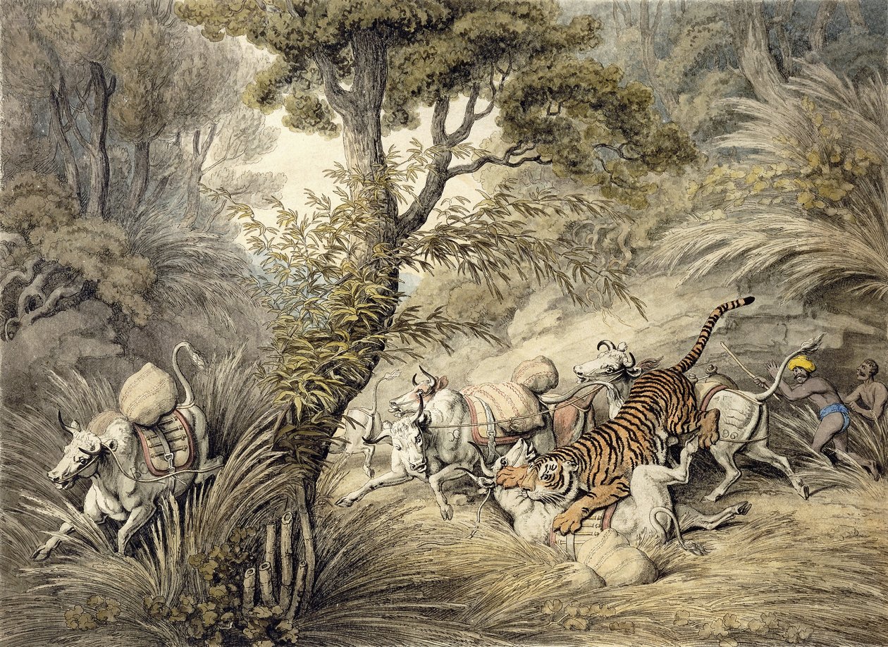 Tigris megtámad egy marhavonatot, alkotó: Samuel Howitt