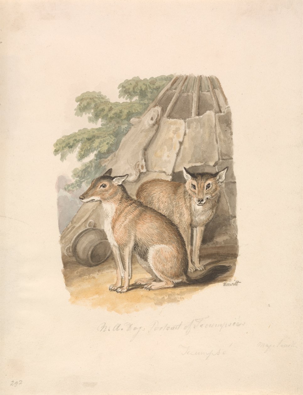 Két husky alkotó: Samuel Howitt