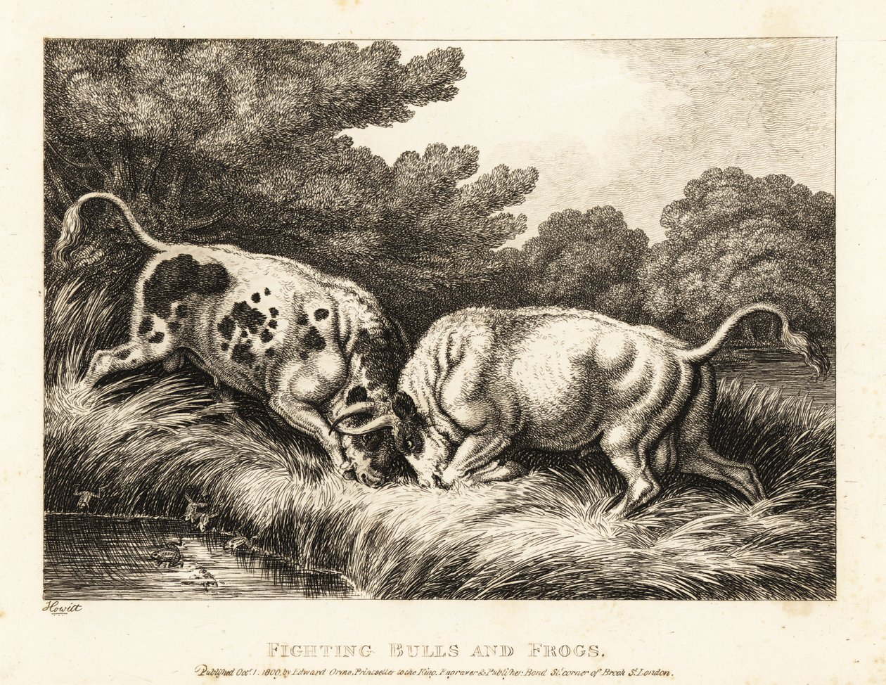 Két bika zárja szarvát egy békákkal teli tó közelében. 1811 (rézkarc) alkotó: Samuel Howitt