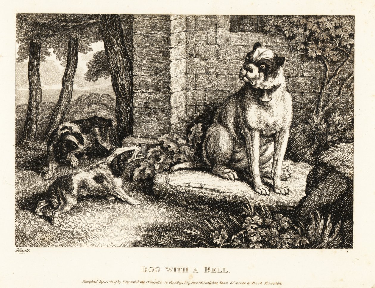 Két spániel ugat egy bulldogra, a gallérján csengővel. 1811 (rézkarc) alkotó: Samuel Howitt