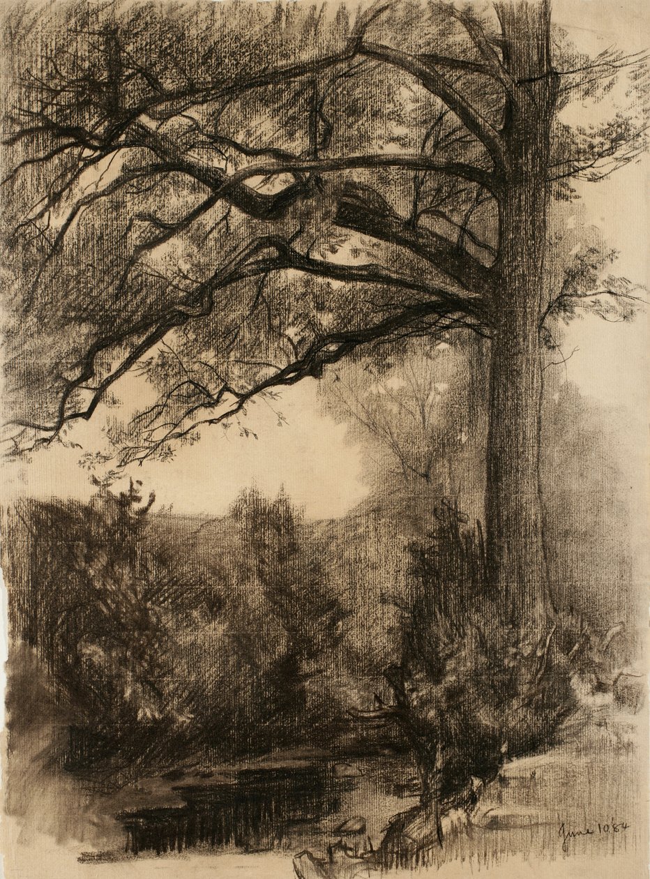 Táj nagy fával, 1884 (szén, sima papíron) alkotó: Samuel Isham