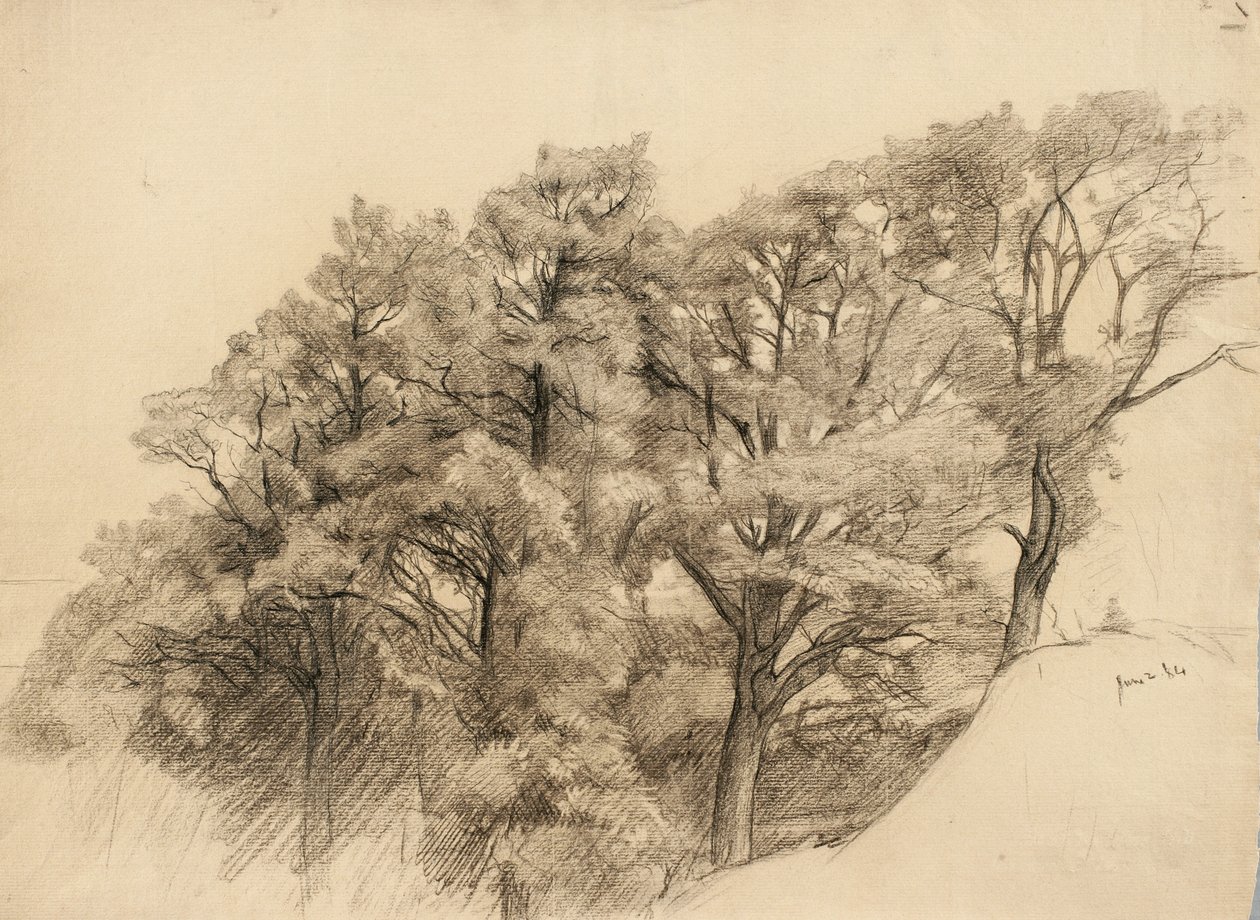 Táj fákkal, 1884 (szén, sima papírra) alkotó: Samuel Isham