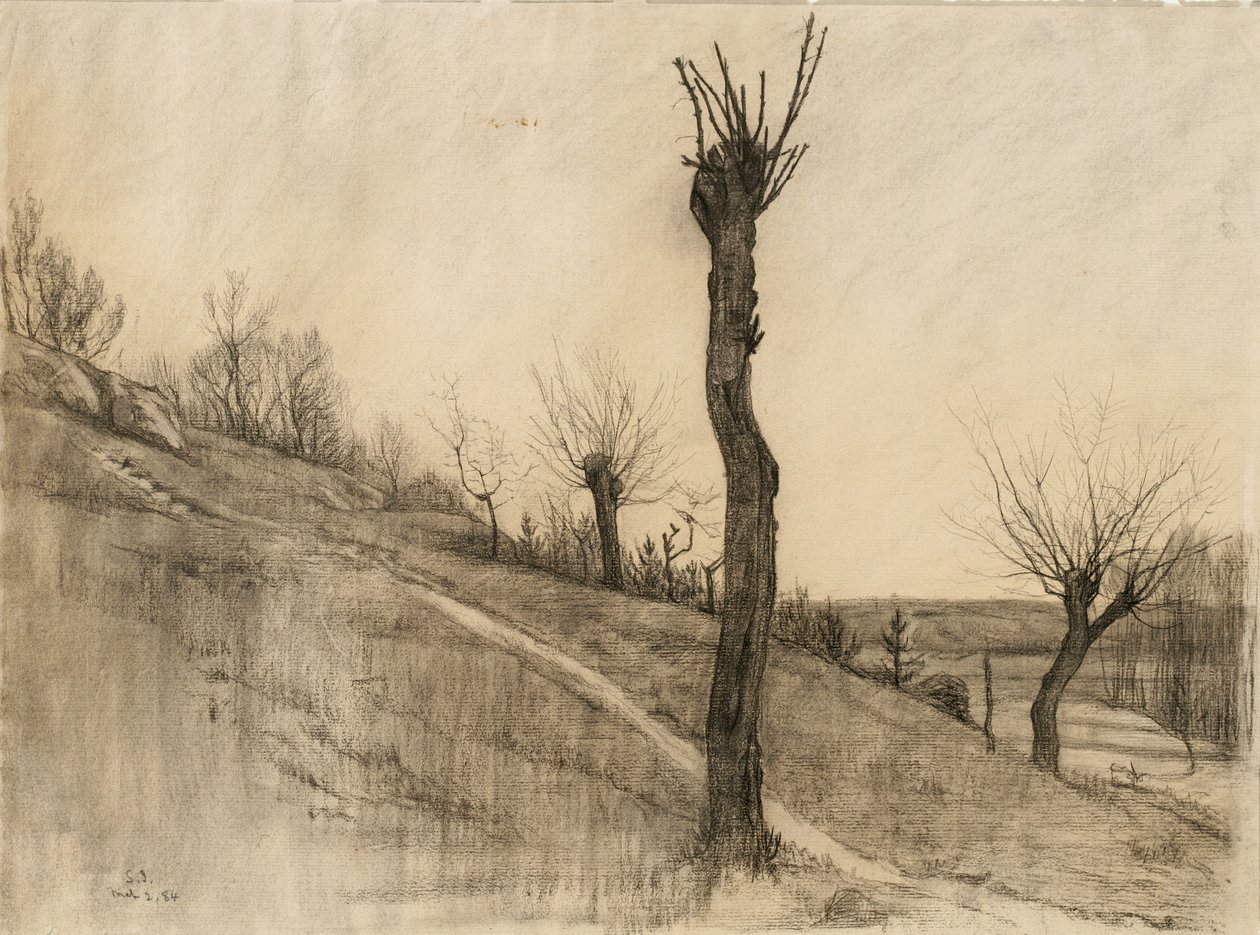 Késő téli táj, 1884 (szén, sima papírra) alkotó: Samuel Isham