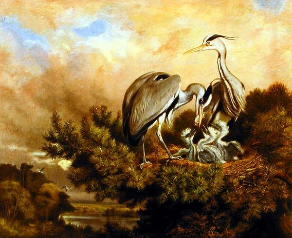 Gém Etetés Fiatalok Egy Fenyőfában alkotó: Samuel John Carter