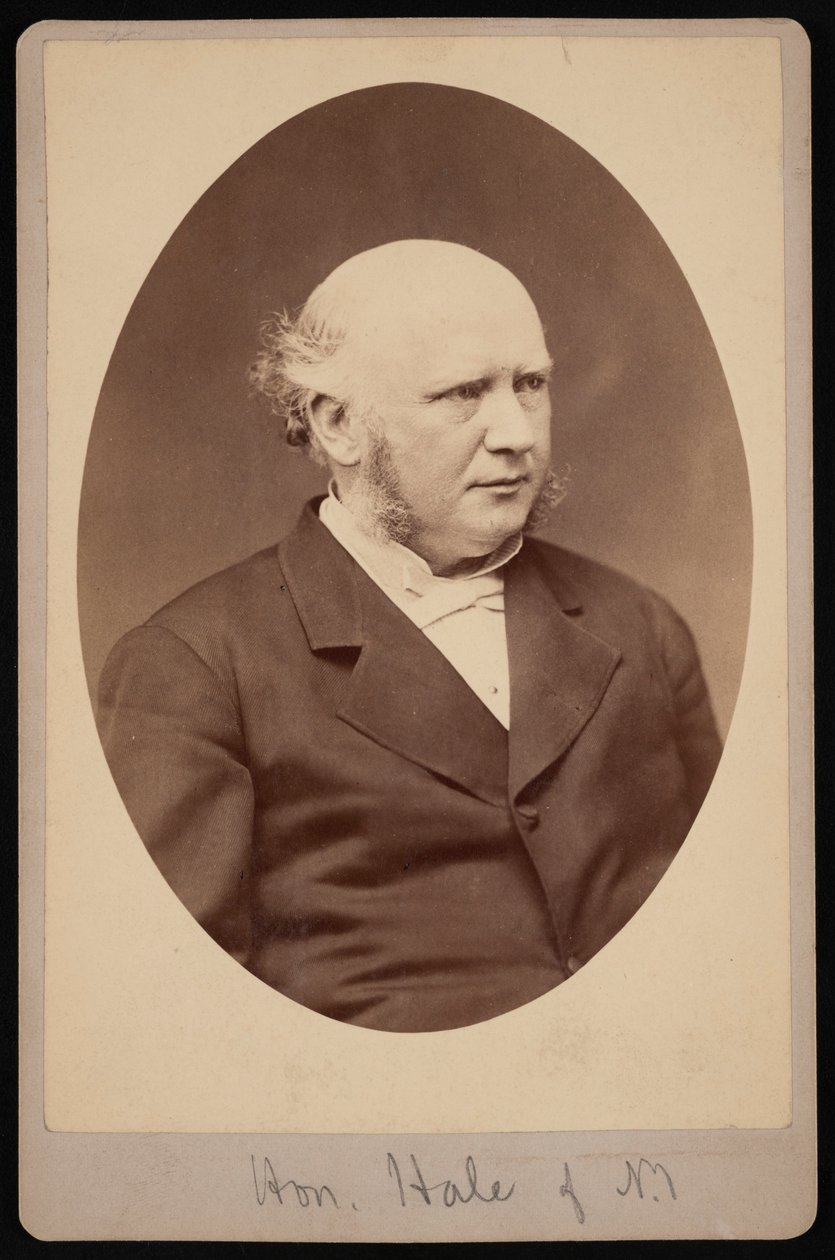 Robert Safford Hale portréja 1822-1881, 1881 előtt. alkotó: Samuel Montague Fassett