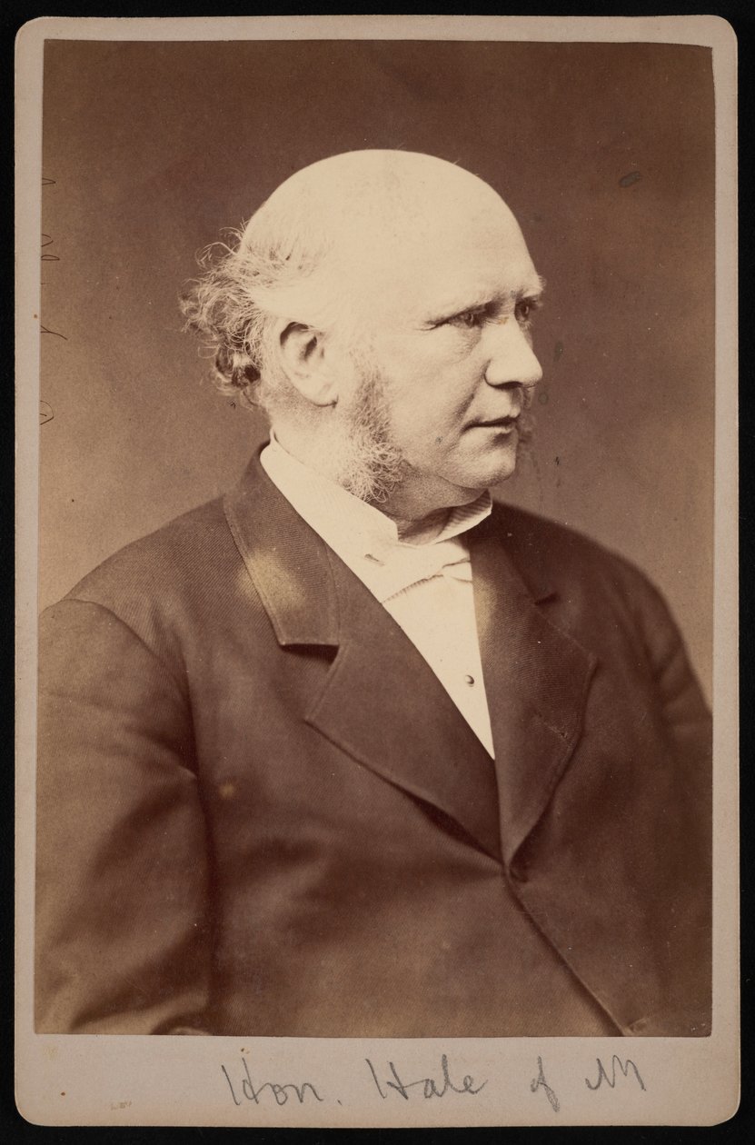 Robert Safford Hale portréja 1822-1881, 1881 előtt. alkotó: Samuel Montague Fassett
