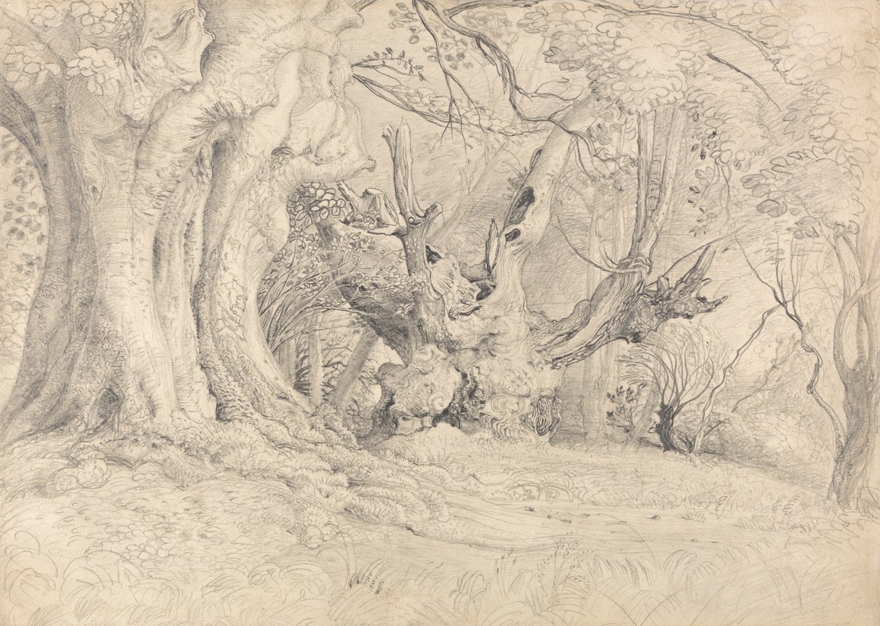 Ősi fák, Lullingstone Park alkotó: Samuel Palmer