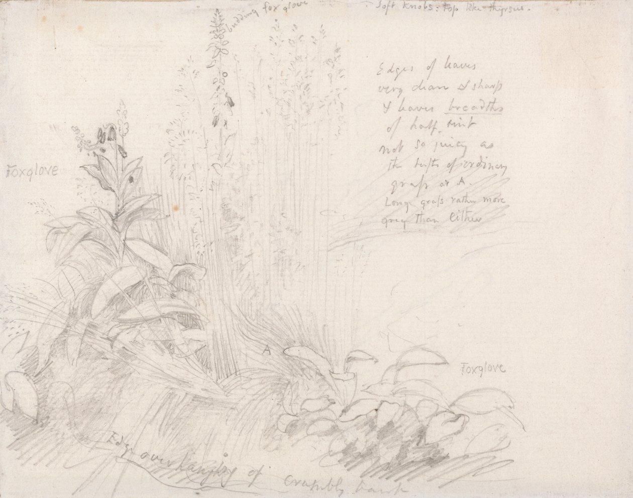 Gyűszűkesztyűk alkotó: Samuel Palmer