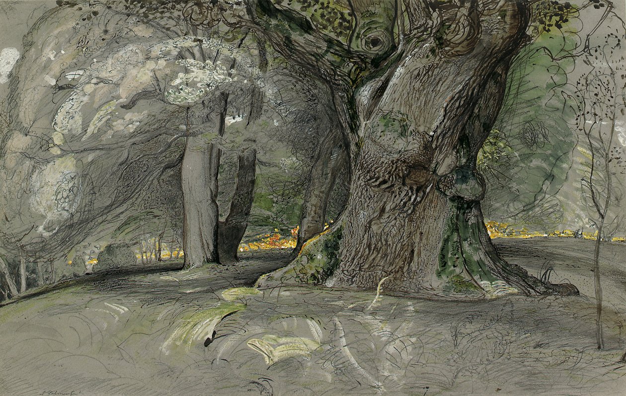 Tölgy és bükk, Lullingstone Park alkotó: Samuel Palmer