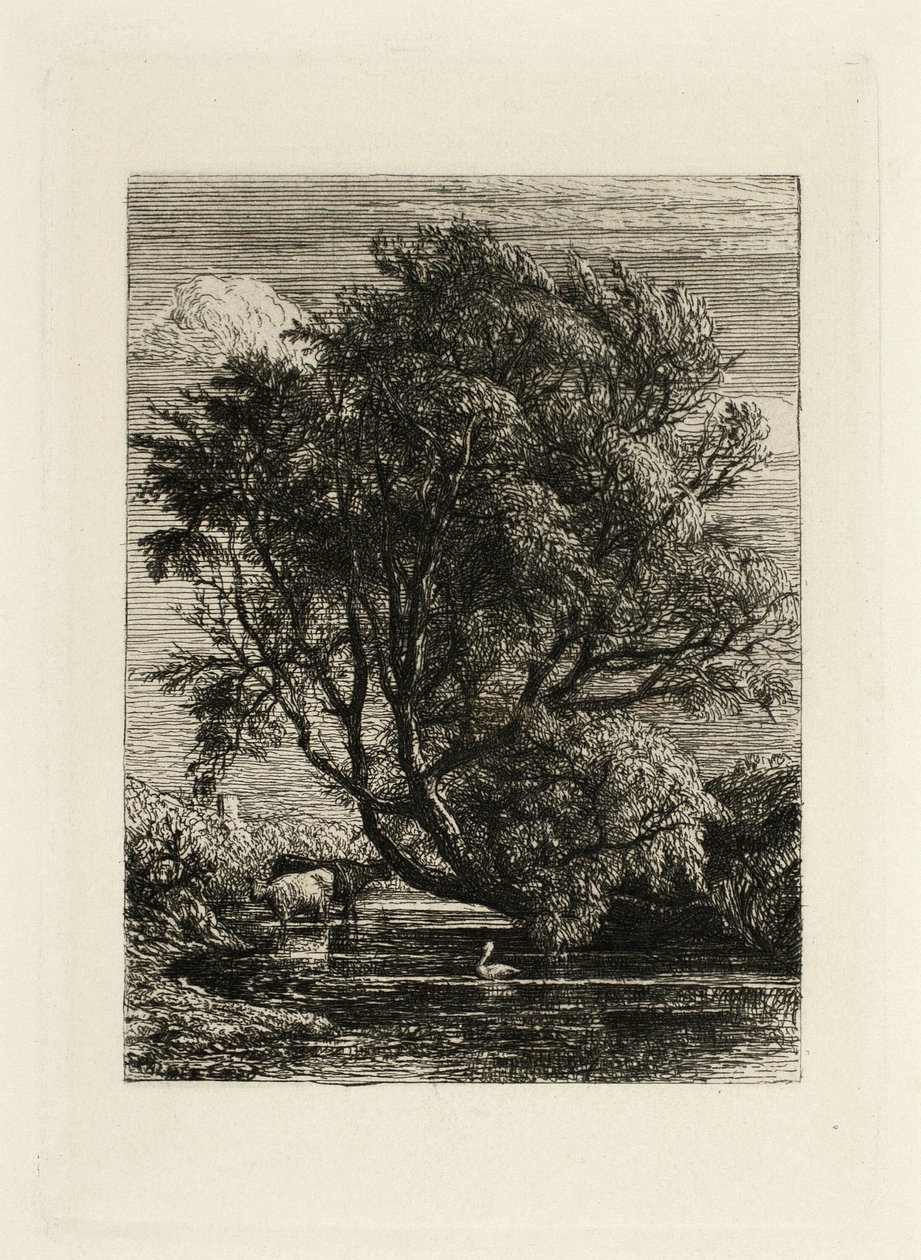 A Fűzfa alkotó: Samuel Palmer