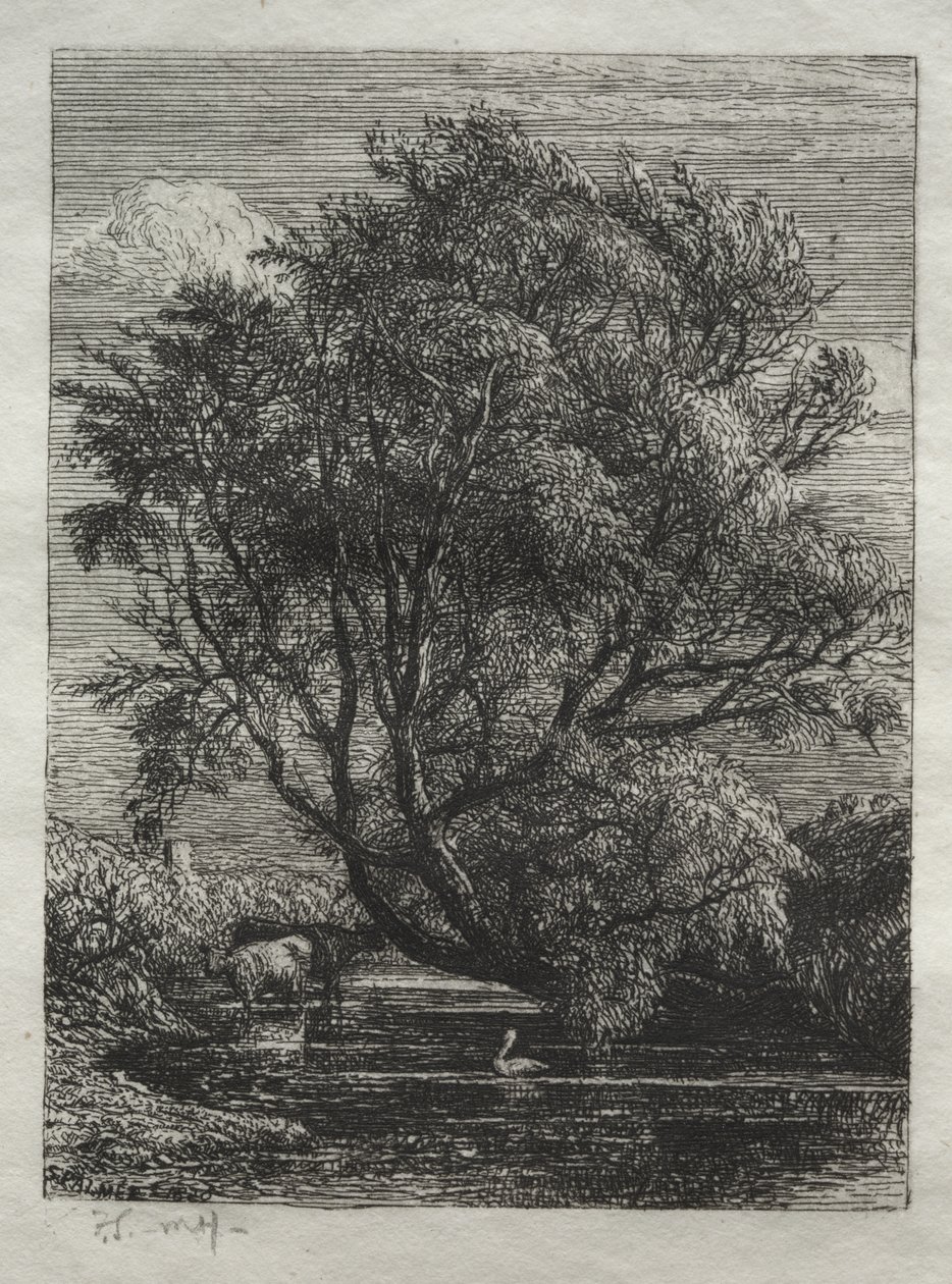 A fűzfa alkotó: Samuel Palmer