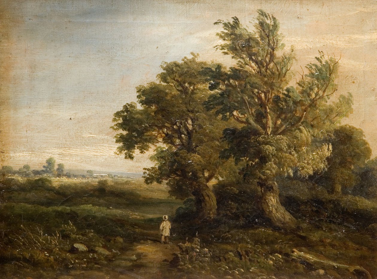 Táj fákkal, 1863. alkotó: Samuel Restell Lines