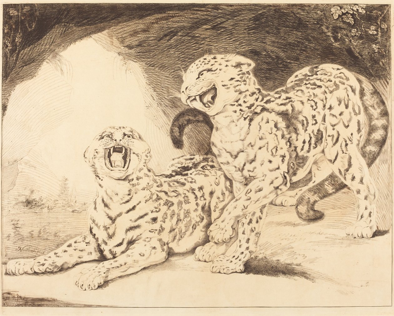 Leopárdok alkotó: Samuel William Reynolds I after James Northcote