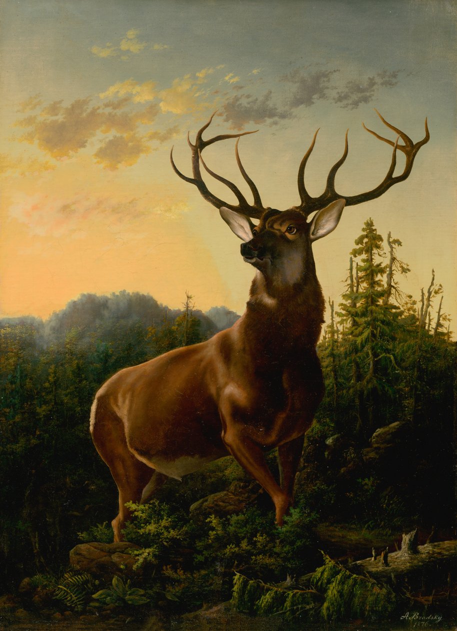Szarvas erdei tájban, 1876. alkotó: Sandor Brodszky
