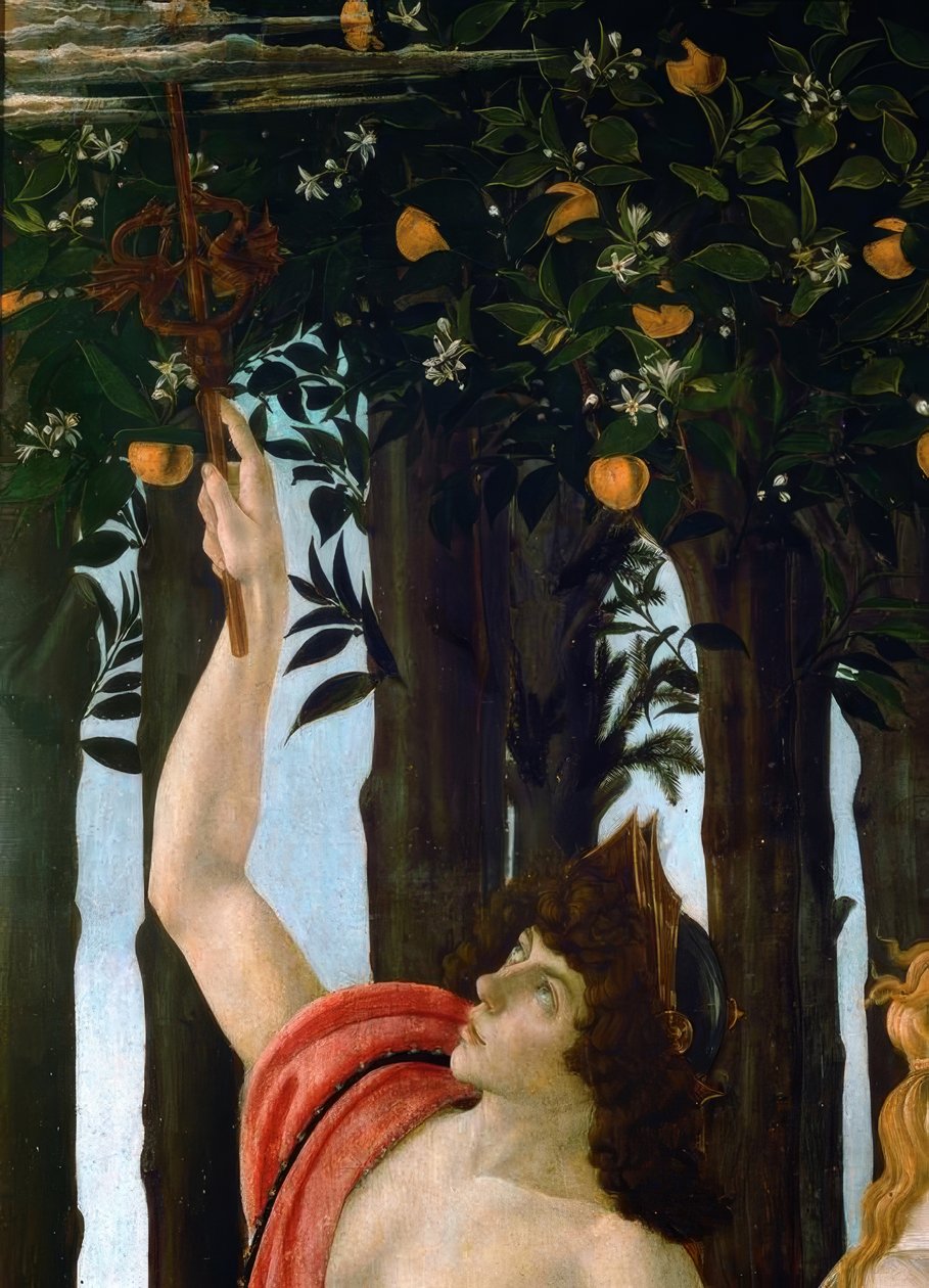 Tavaszi alkotó: Sandro Botticelli
