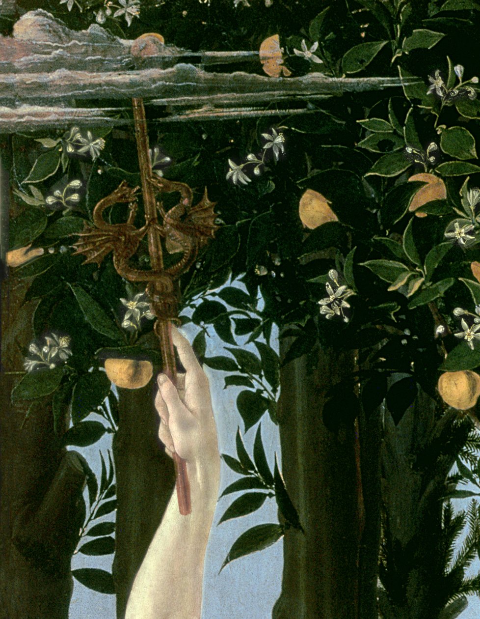 Primavera, 1478 körül, tempera, tábla, részlet az 558-ból alkotó: Sandro Botticelli